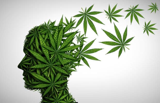 Illustration de l’article « Mon enfant fume du cannabis, quels sont les risques ? »
